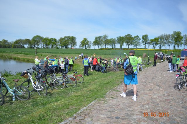 marsz g 2015 238 kopiowanie